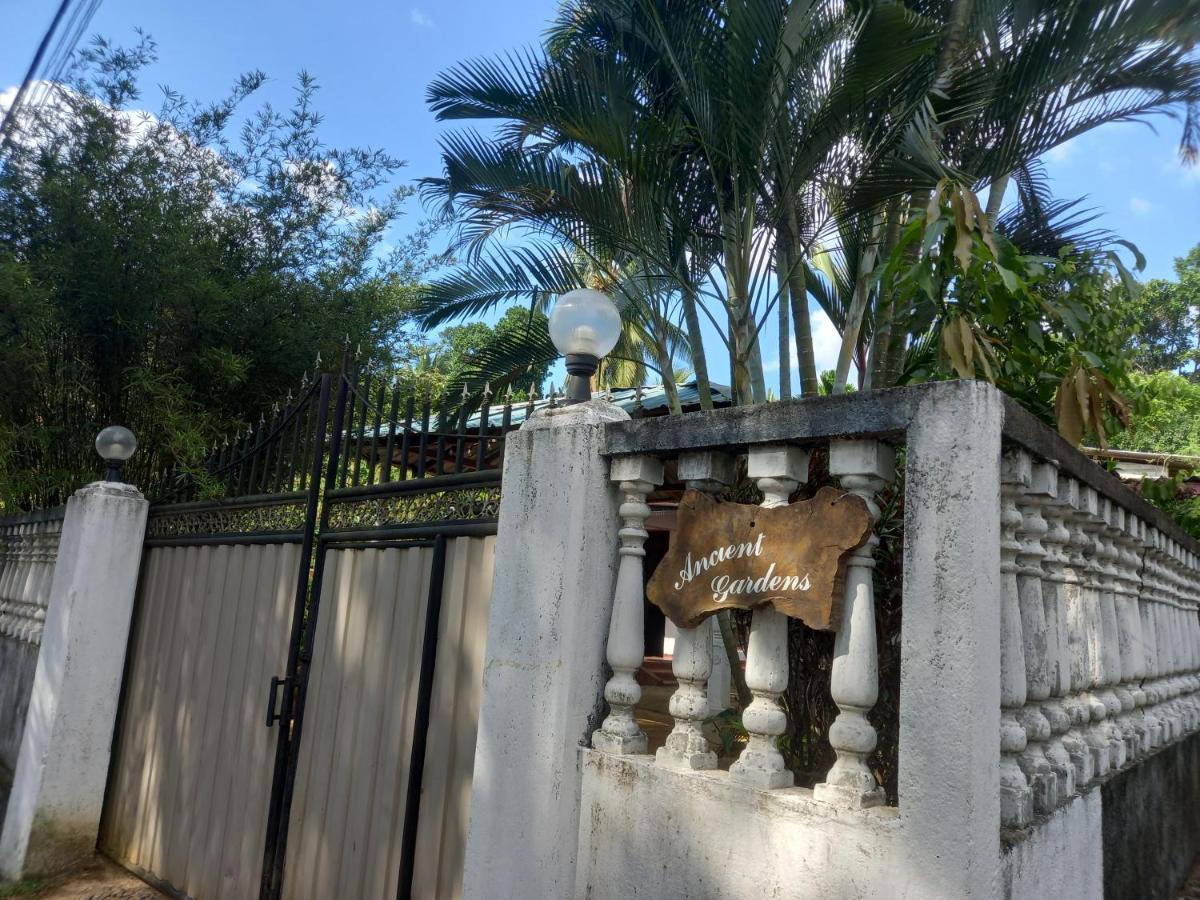 Ancient Gardens Villa Pinnawala  Kültér fotó