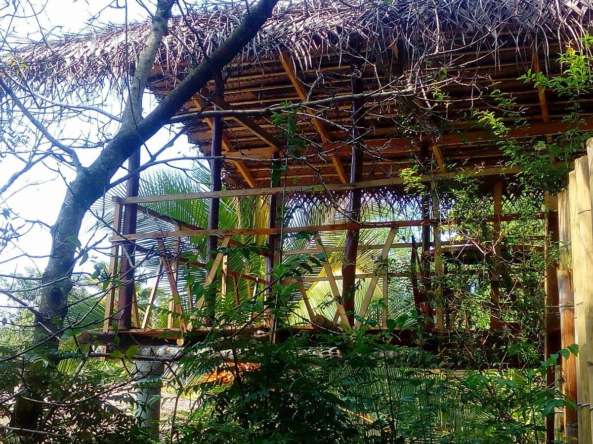 Ancient Gardens Villa Pinnawala  Kültér fotó
