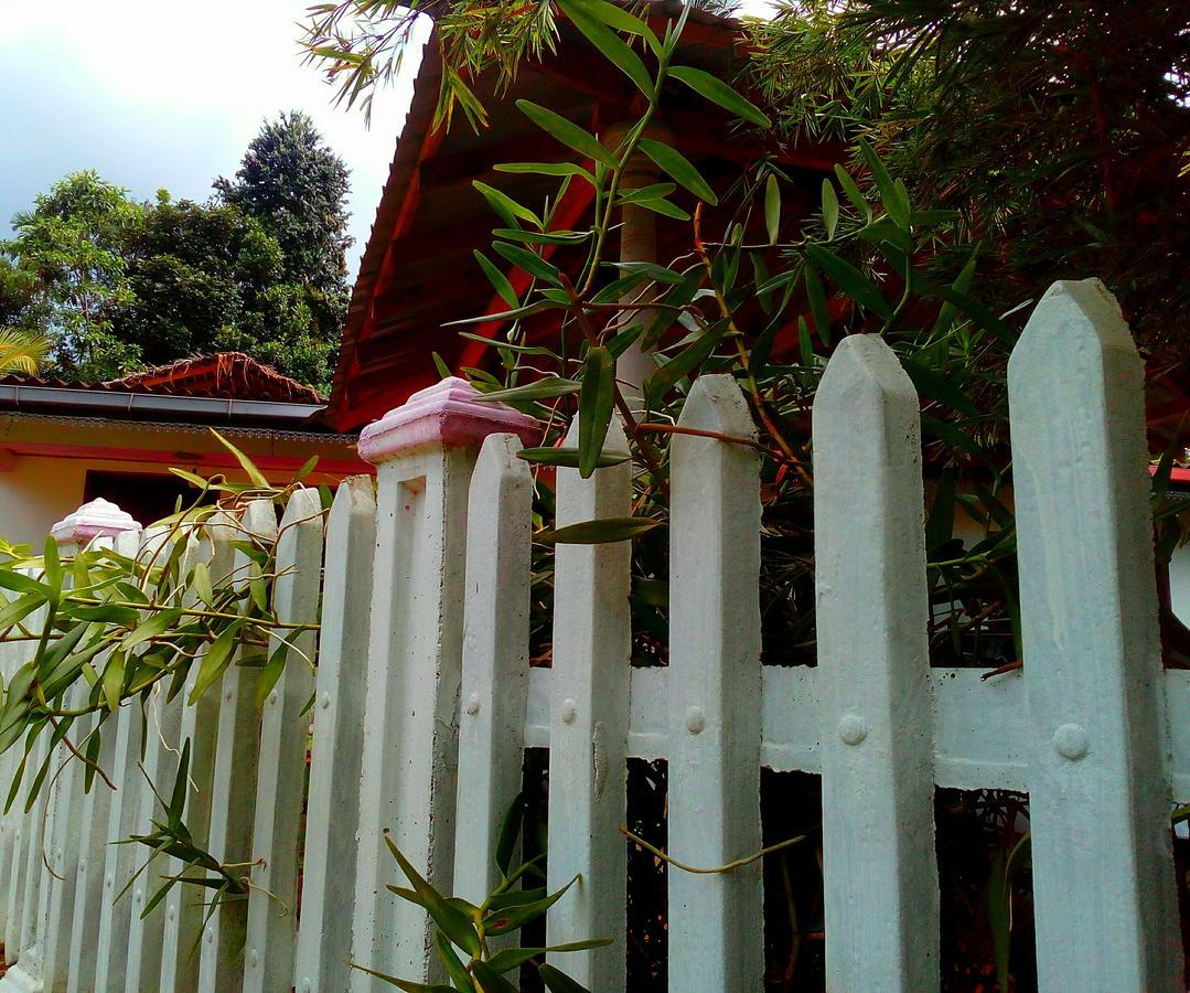 Ancient Gardens Villa Pinnawala  Kültér fotó
